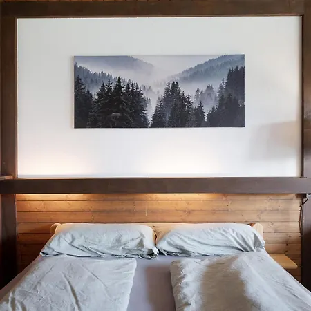 Auszeit Apartment Schoenwald im Schwarzwald