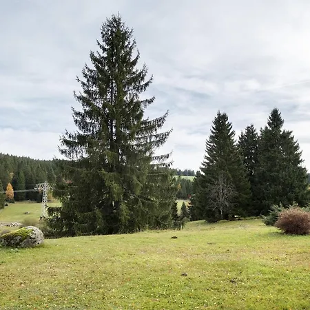 Auszeit Appartement Schönwalde
